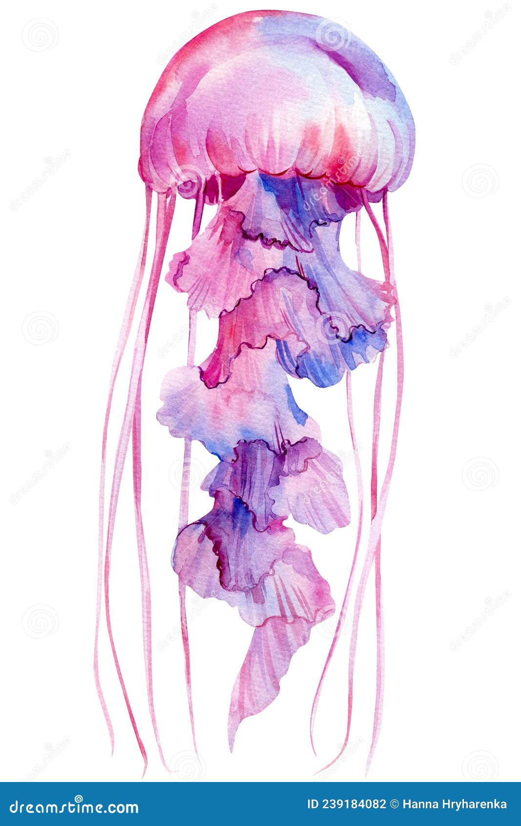 24 Majestic Jellyfish Tattoos  Jellyfish tattoo Tattoos Octopus tattoo  design
