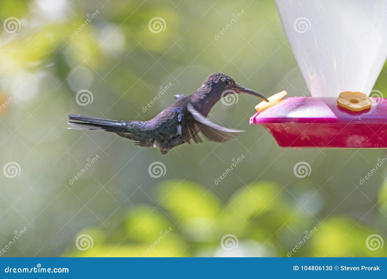 hummingbird exceed 14 hummingbird exceed 14