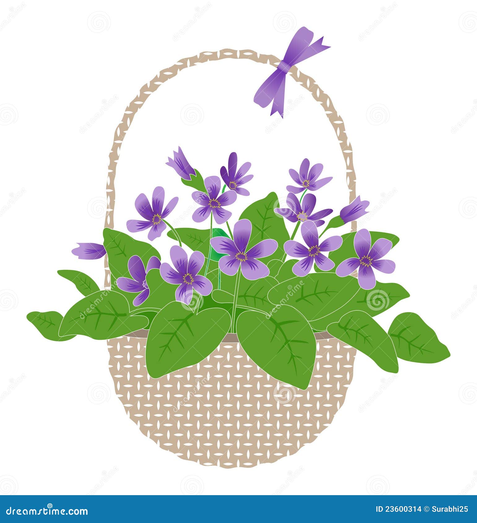 Violets in basket stock vector. Illustration of decoration 23600314