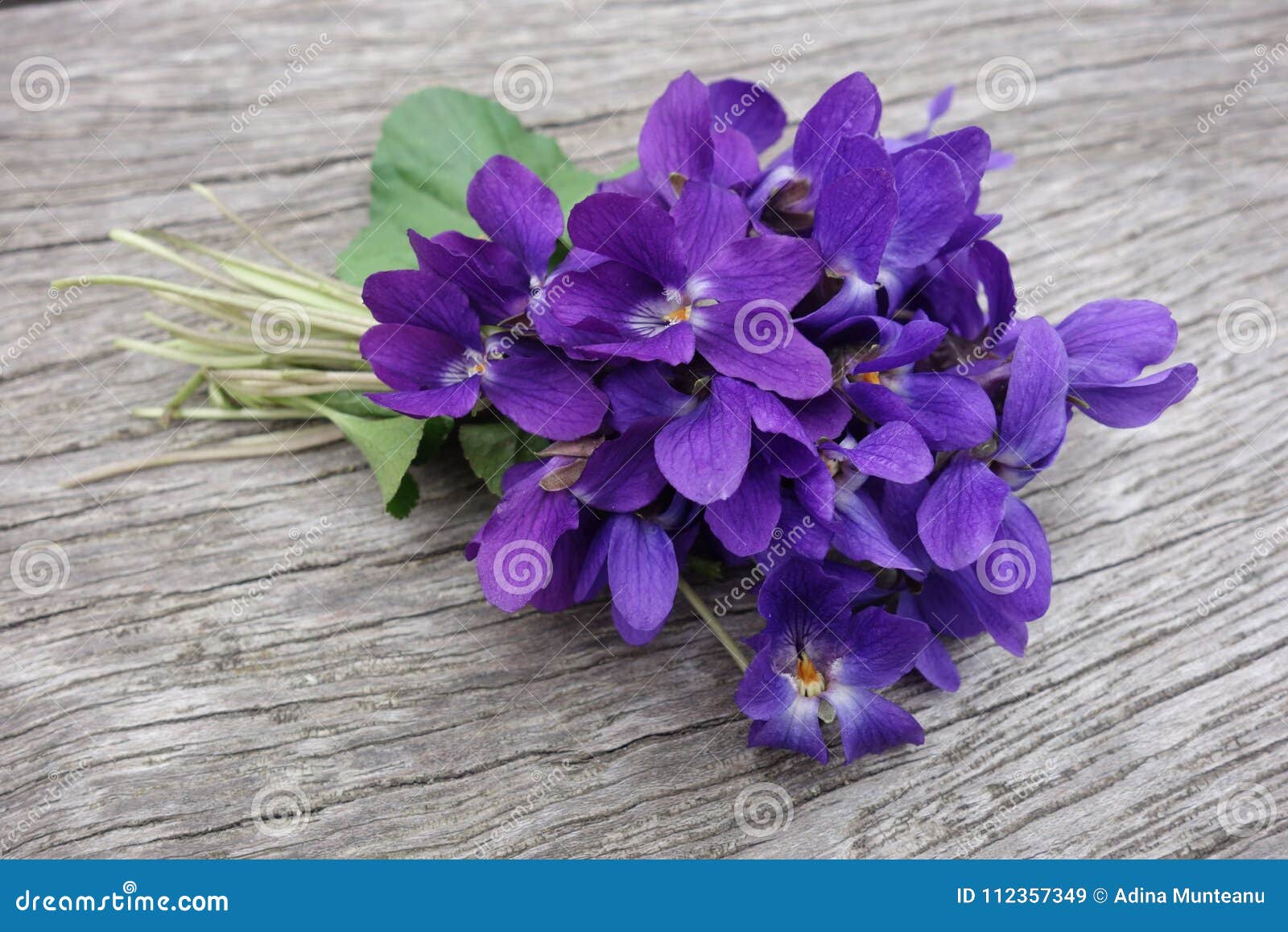 Violets Bouquet on Wooden Board Stock Image - Image of beautiful, flower:  112357349