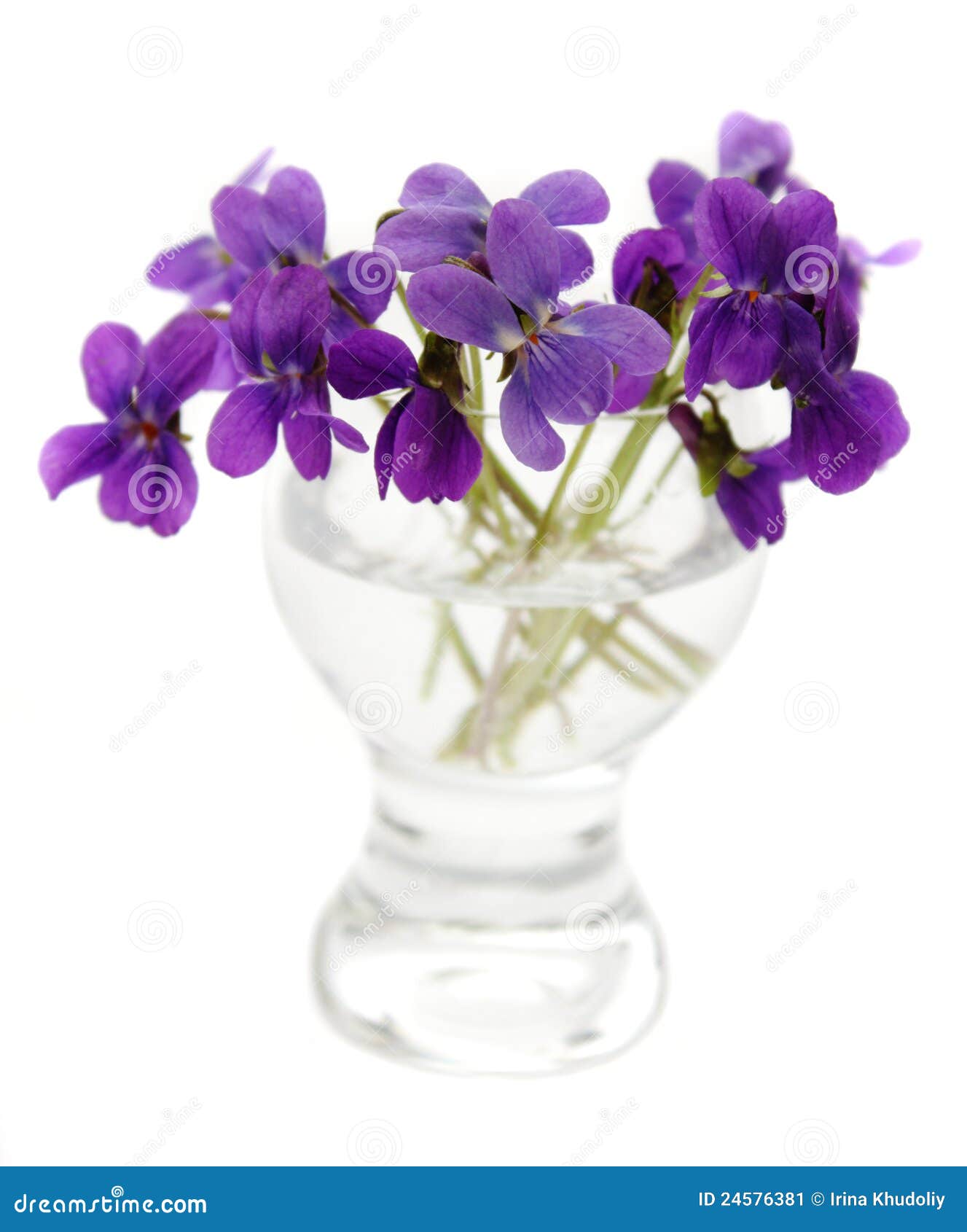 Violets in a vase stock image. Image of blossoming, bunch 24576381