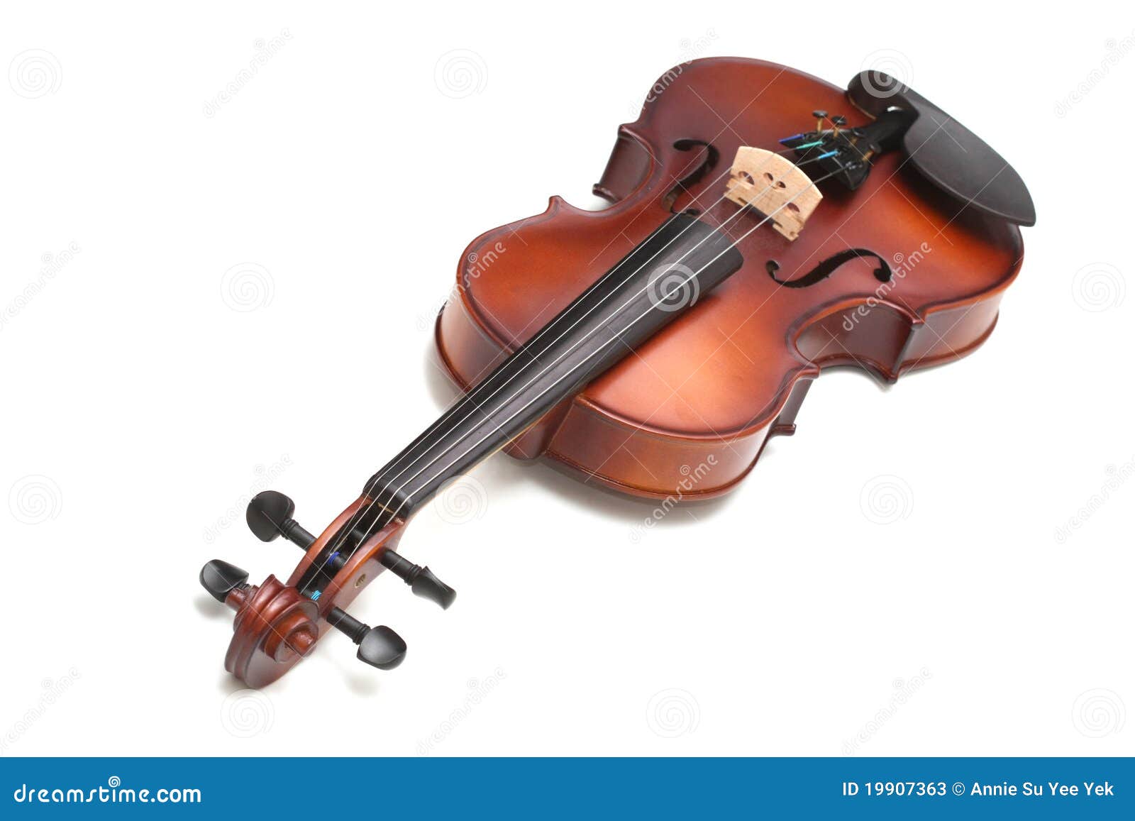 violin