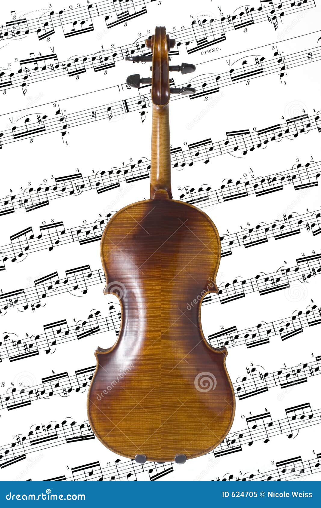 Violin Back stock image. Image of stringed, string, sheet 624705