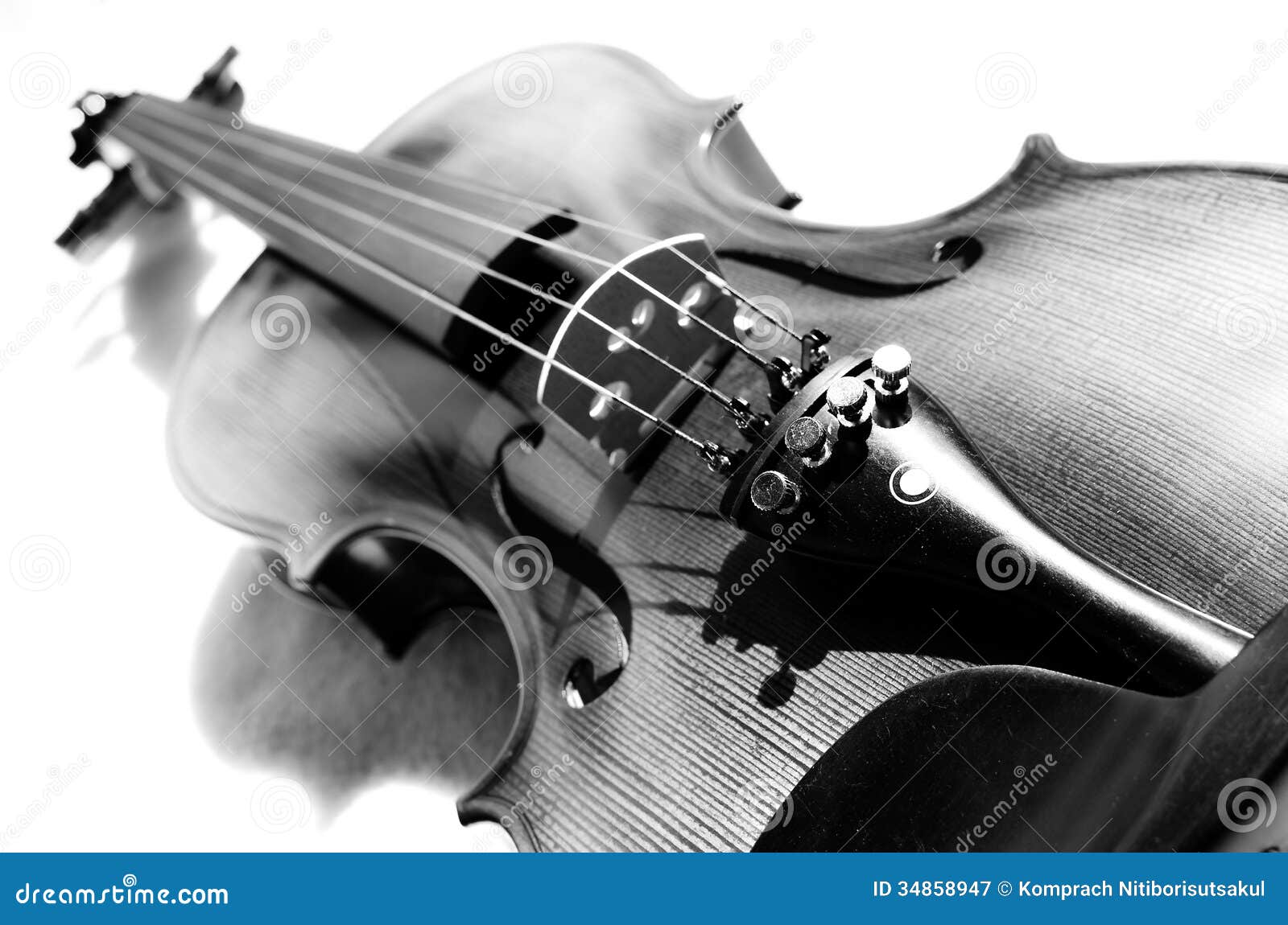 violin in black and white.