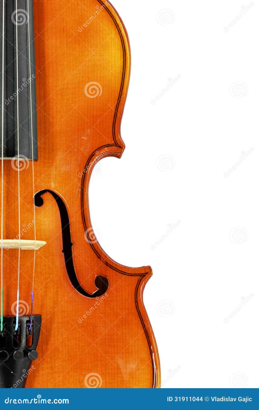 violin detail