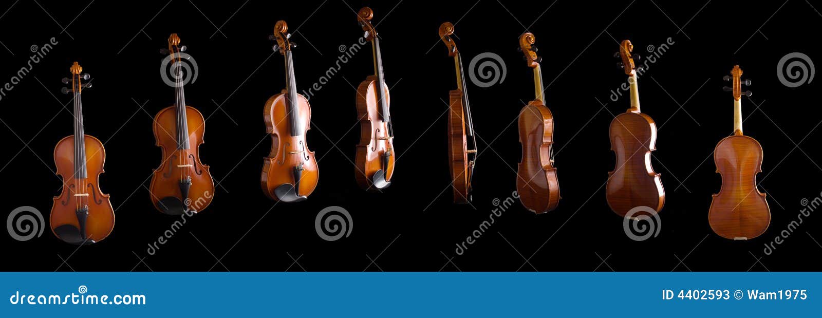 Violin from Different Angles Stock Image Image of angle, black 4402593