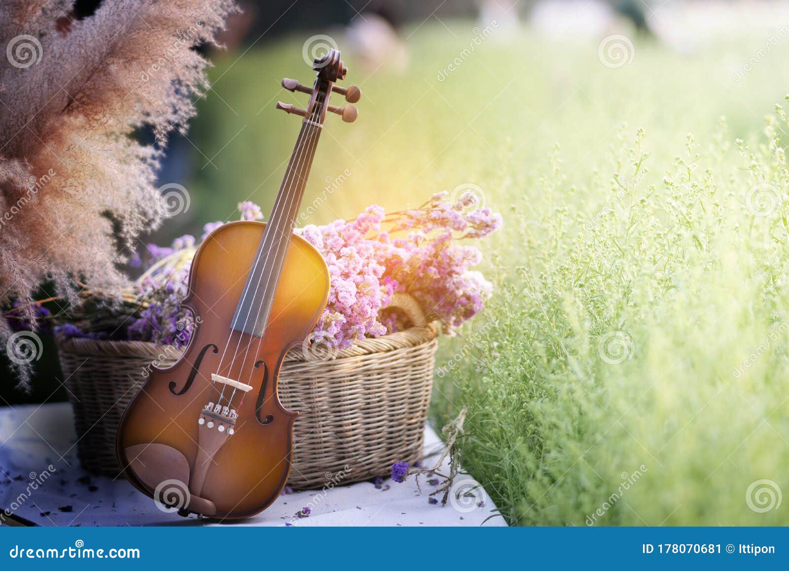Violin in flower garden stock image. Image of song, love 178070681