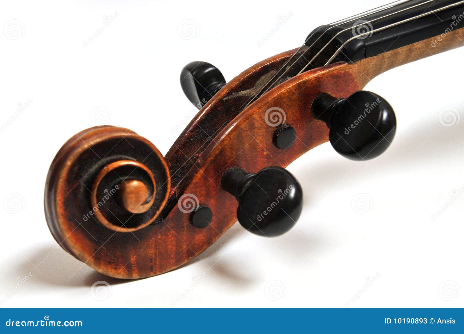 violin head