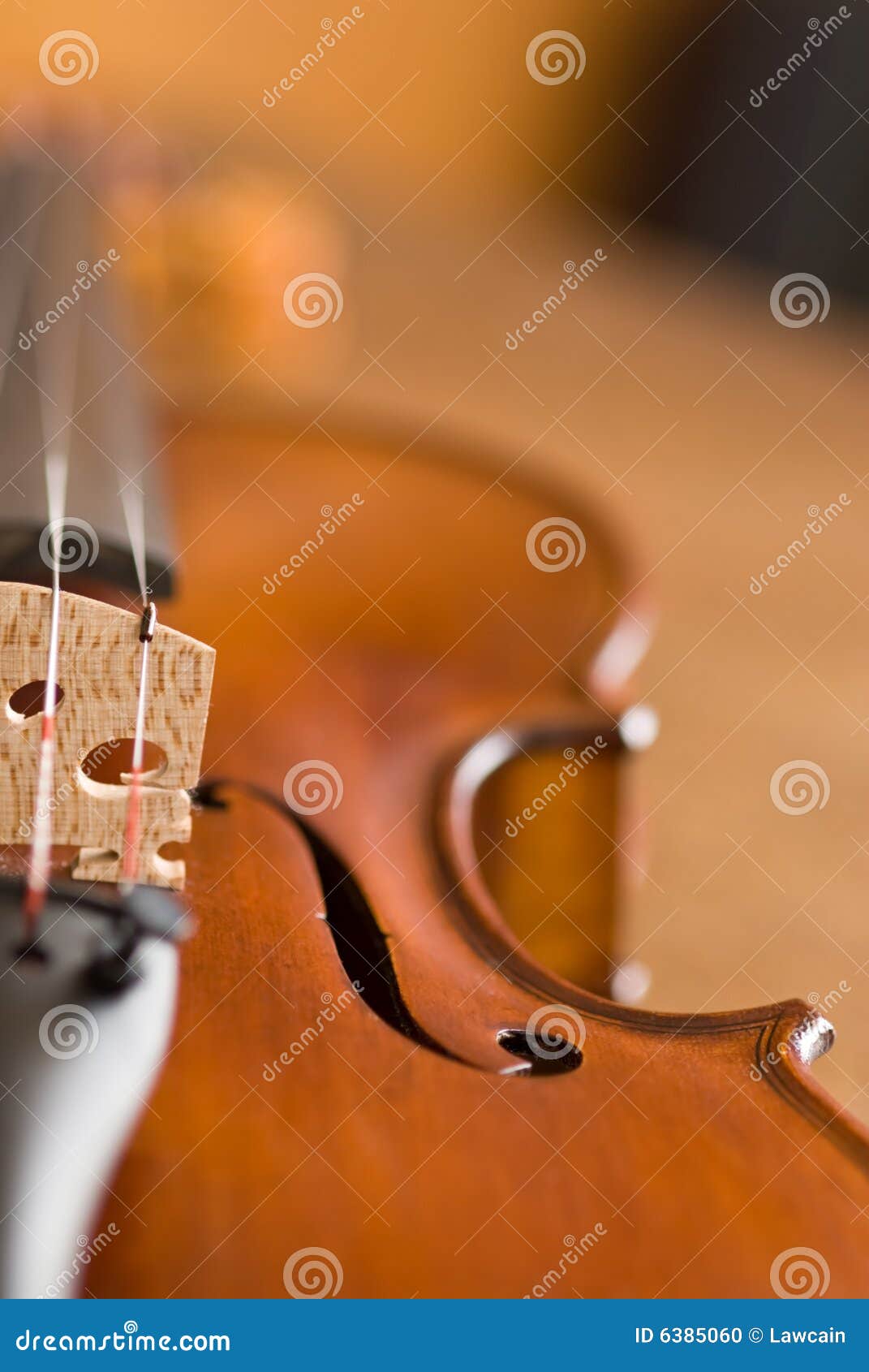 violin macro