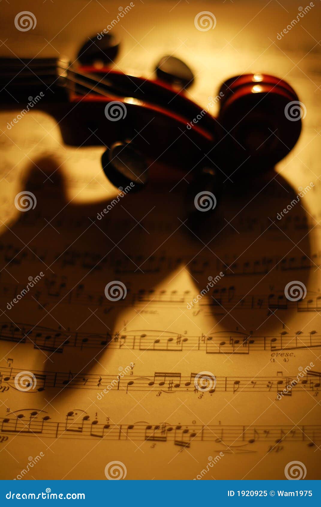 violin (the music)