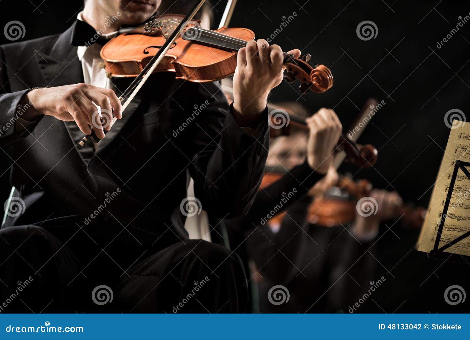 Violin Orchestra Performing Stock Photo Image of playing, talent