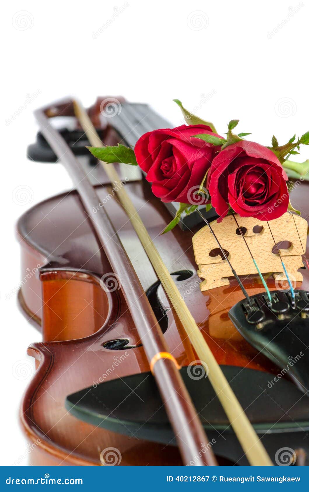 rule of rose violin rule of rose violin