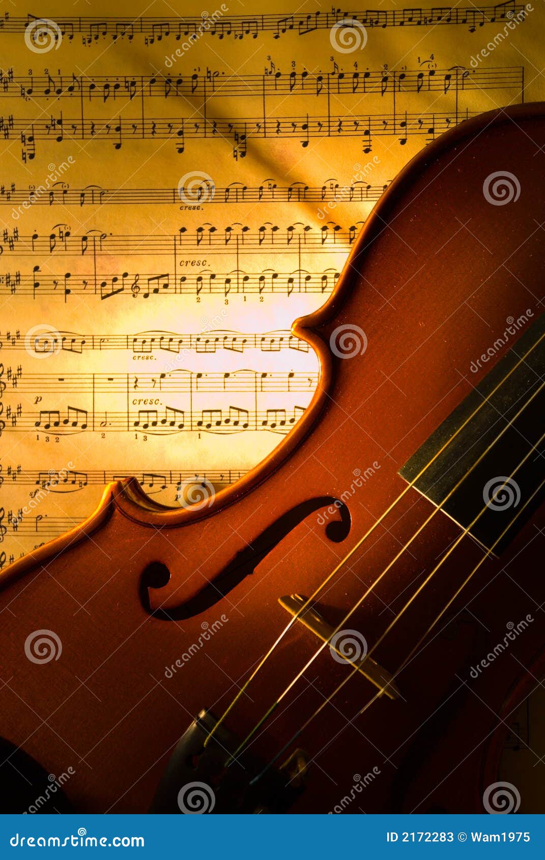 the violin with score