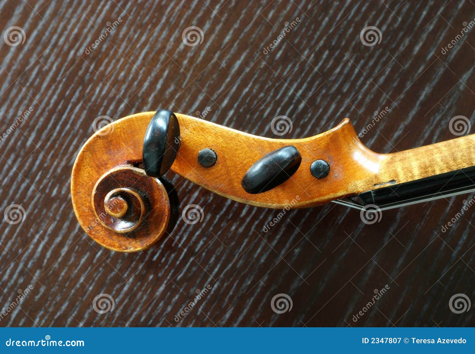 Violin scroll. Detail of a violin over dark wood background