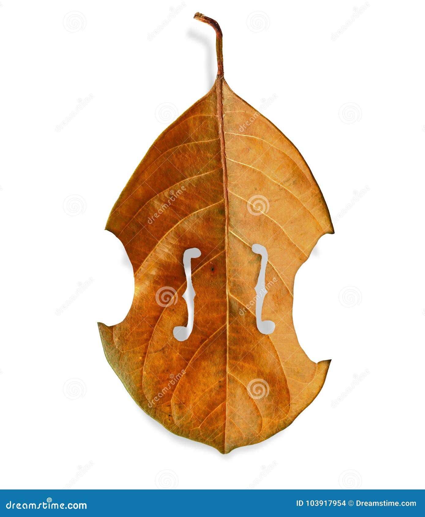 violin tree leaf