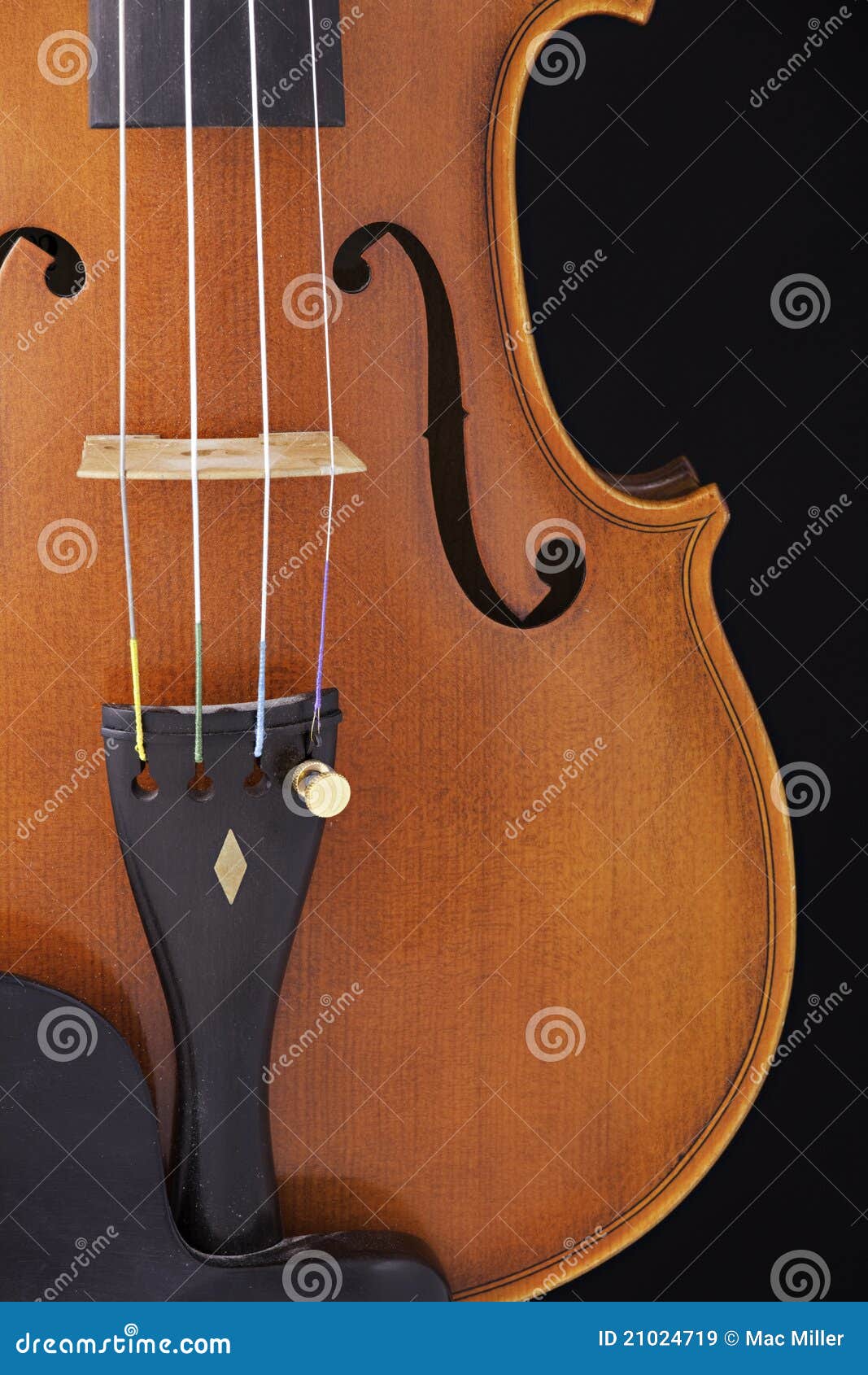 Violin Viola Isolated On Black Stock Image Image of professional