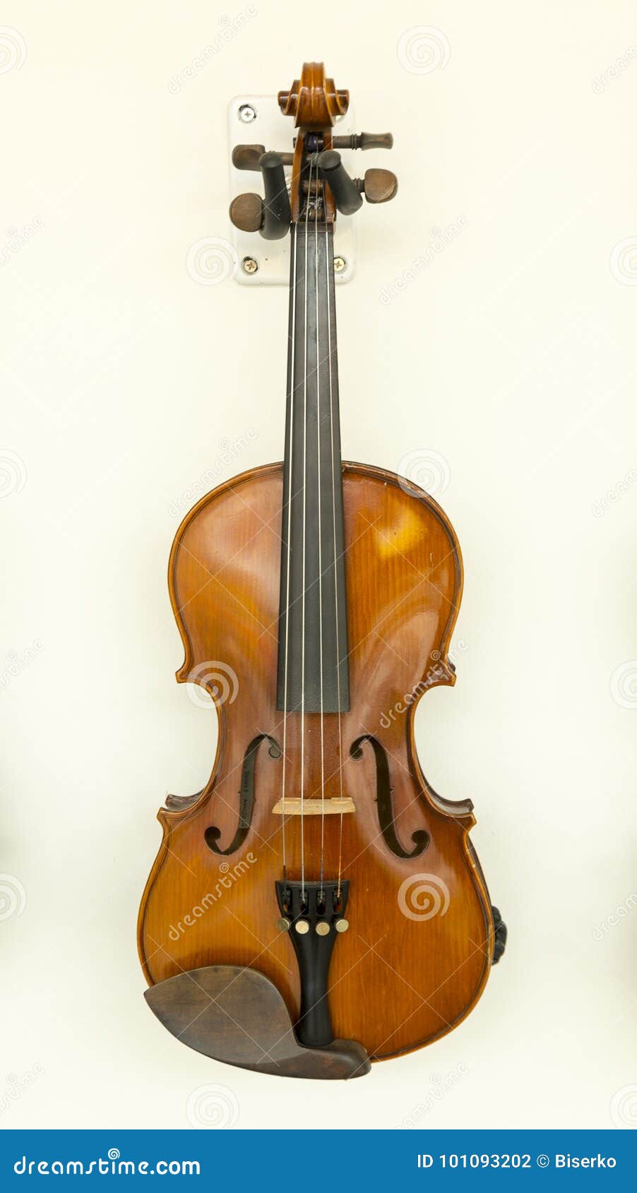 Highest pitched string instrument deals