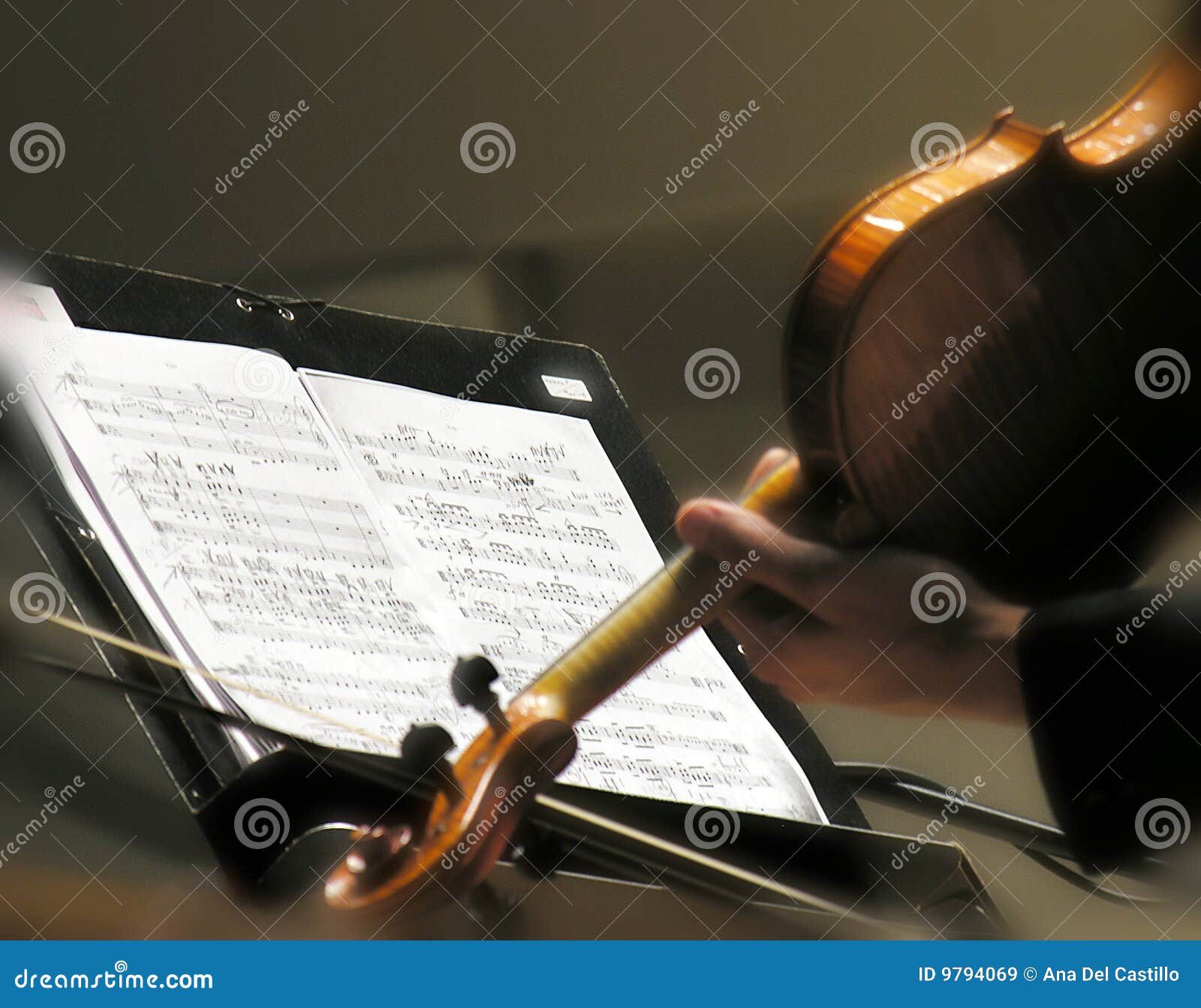 Violinist Playing Sheet Music Stock Image Image of back, holding 9794069