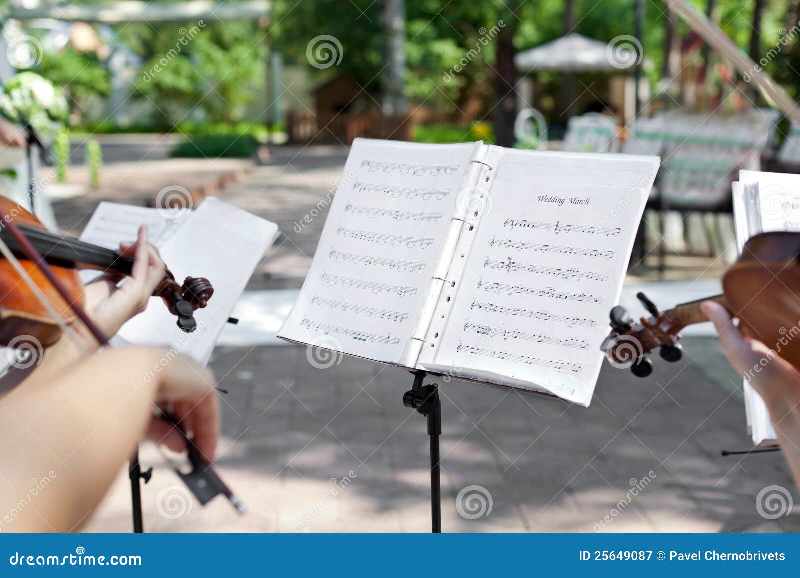 Violinist on Wedding Ceremony Stock Image Image of performance, artist 25649087