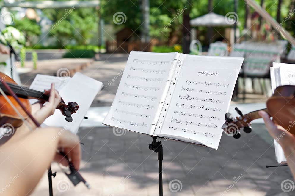Violinist on Wedding Ceremony Stock Image Image of performance
