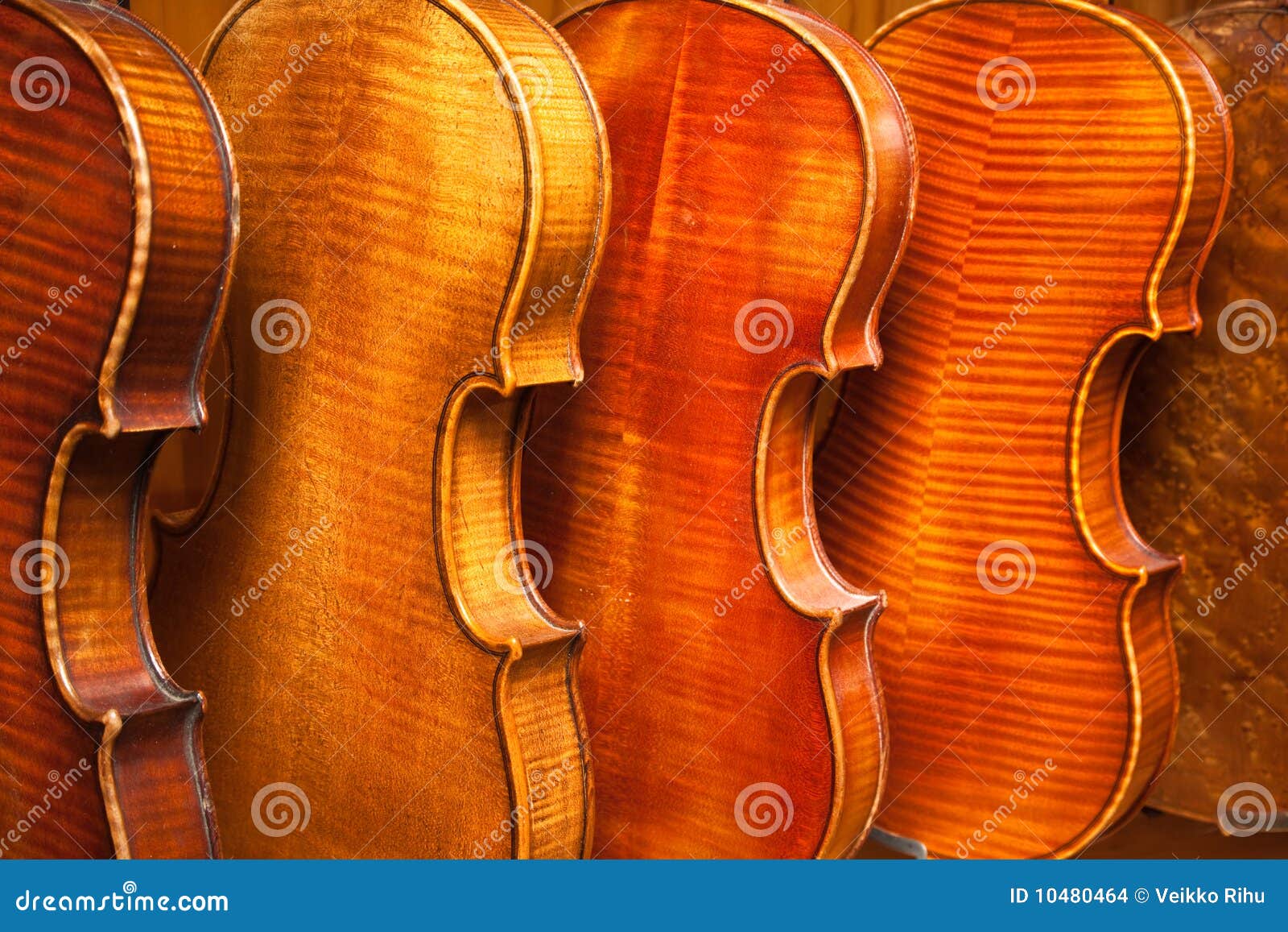 Rack Of Violins Awaiting Work In Violin Repair Shop. Stock Photo
