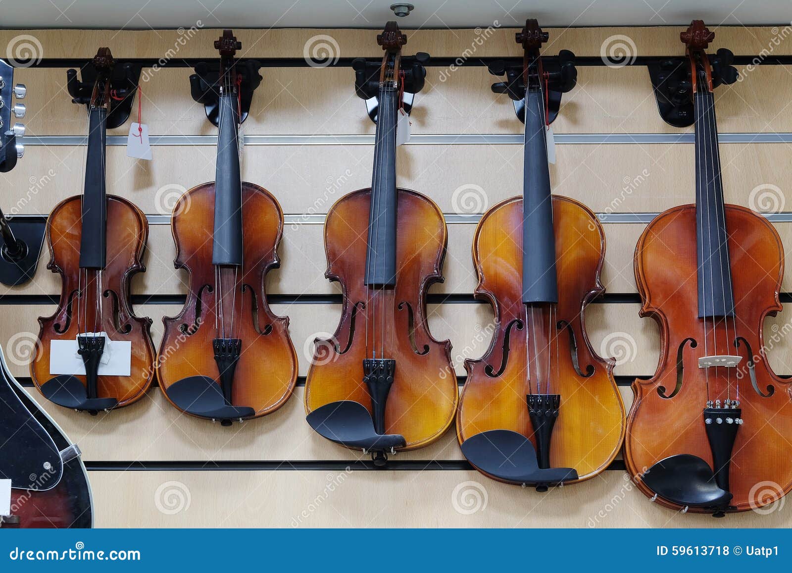 Violins in a shop stock photo. Image of close, violin 59613718