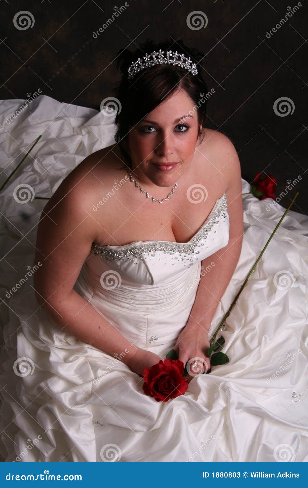 Beautiful Bride Having Her 6