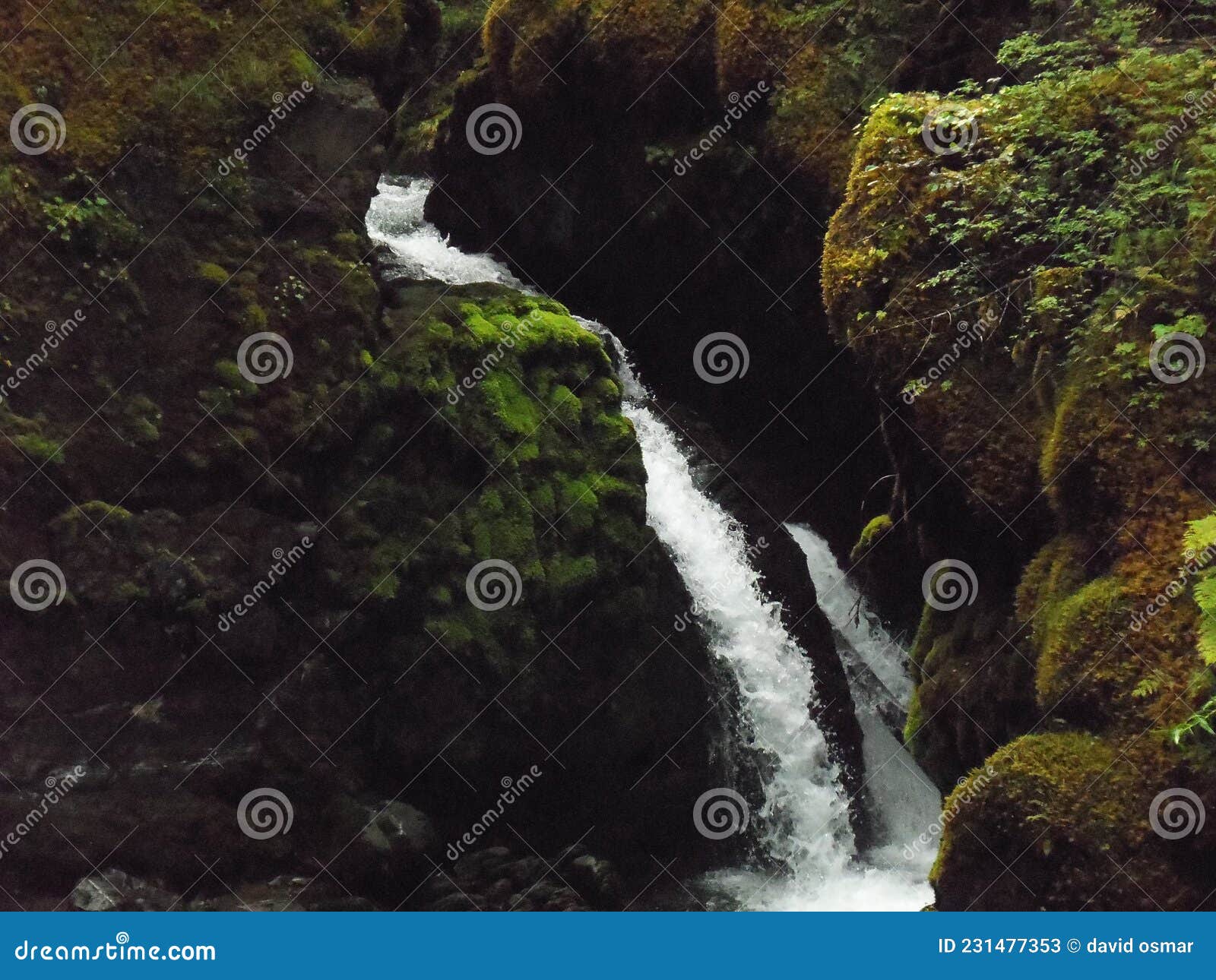 Virgin Waterfall RoyaltyFree Stock Image 8089744