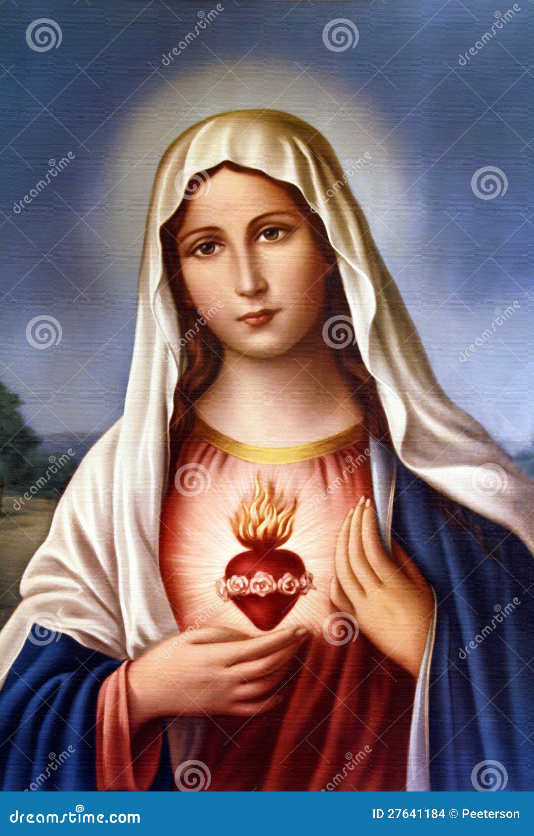 Virgin Mary stock photo. Image of rose, virgin, aureole 27641184