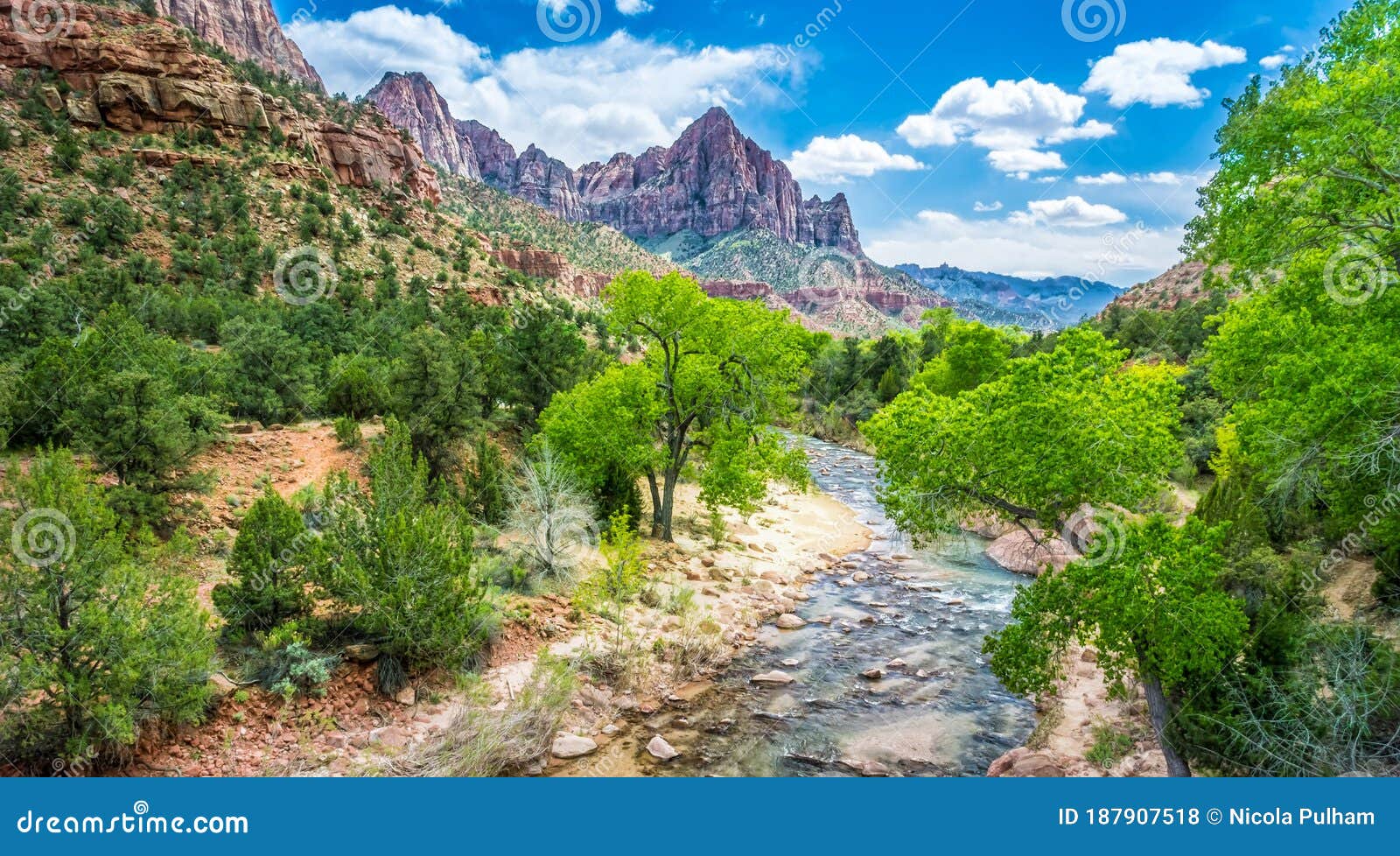 The Virgin River Flows through Zion National Park, Utah Stock Photo