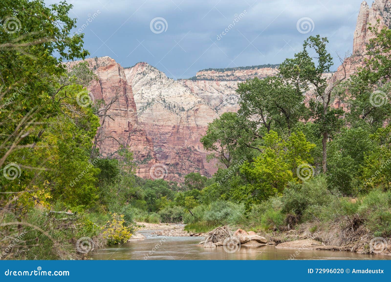 Virgin River in Zion National Park in Utah Stock Photo Image of