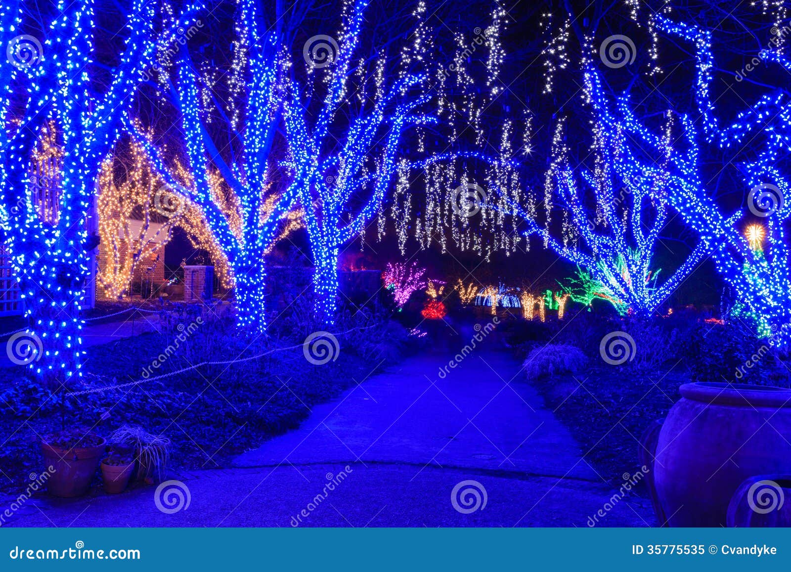 Virginia Holiday Festival Walk Of Lights Stock Image Image Of