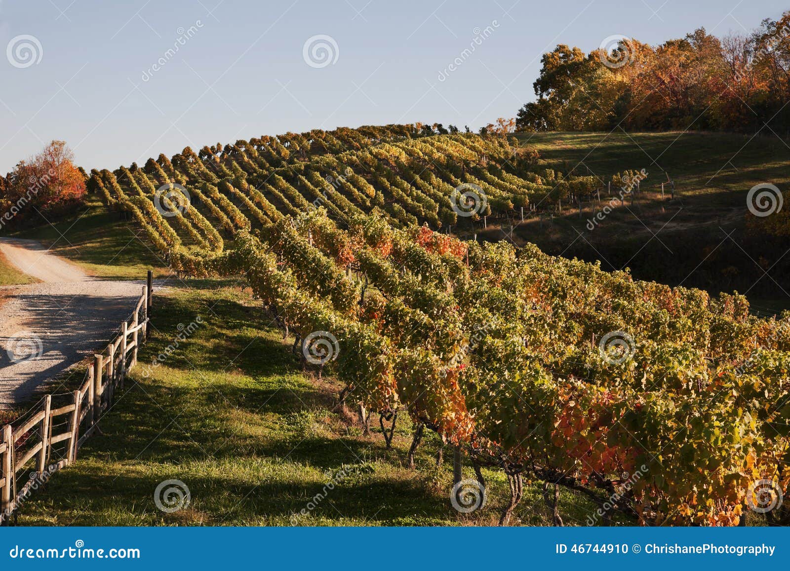 virginia wine country in autumn