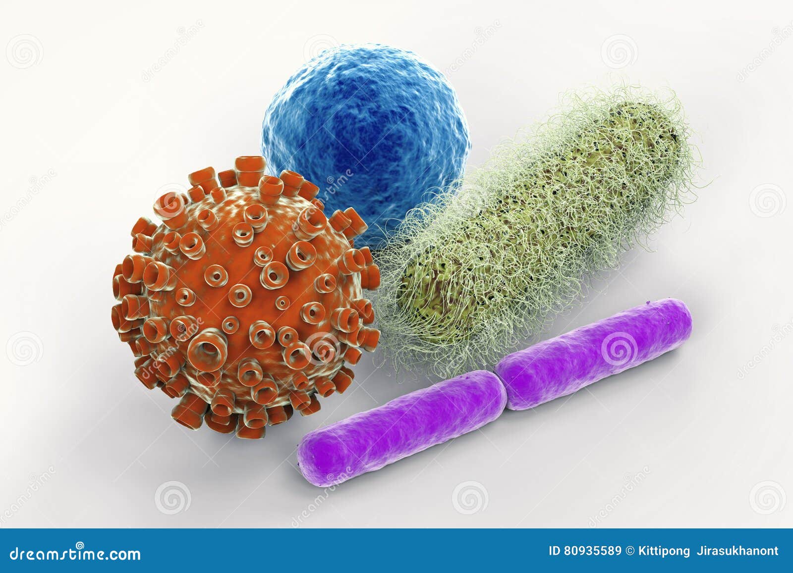 virus and bacteria cells
