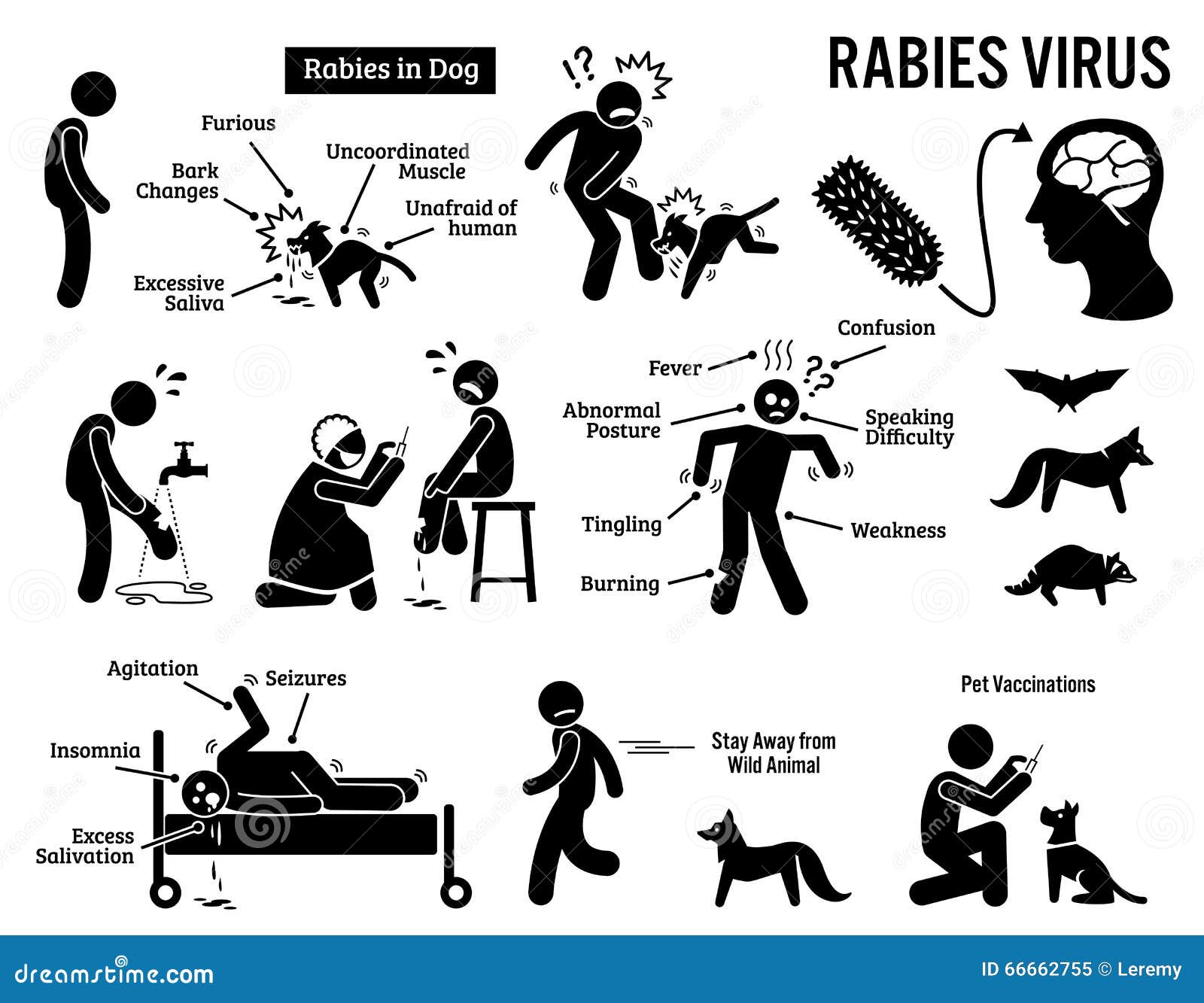 Virus della rabbia in clipart umano ed animale. Insieme del pittogramma umano circa il virus della rabbia in animali quali il cane, il pipistrello, la volpe ed il procione Il cane infettato ha eccessiva saliva ed il furioso Una volta un morso di cane della rabbia un essere umano, il virus è trasmesso La vittima finalmente morirà