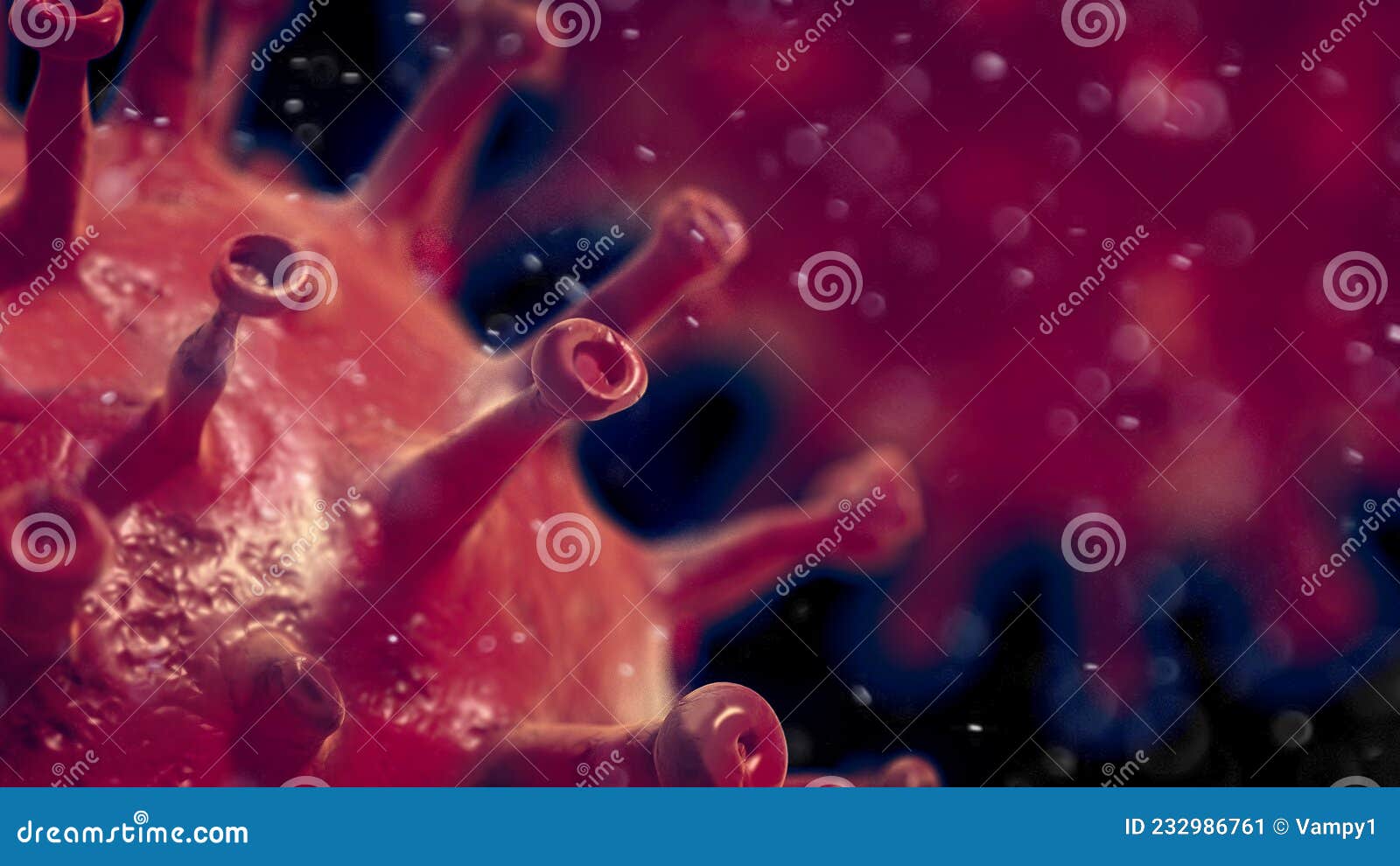 Virus, Detail Seen Under the Microscope, Mutations and Variants of the