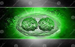 Virus Di Esantema Illustrazione Di Stock Illustrazione Di Dolore 