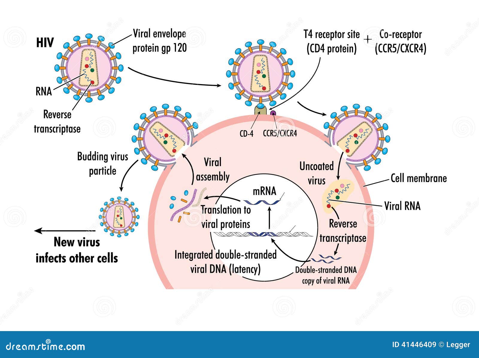 Rubella Free Por Video 11