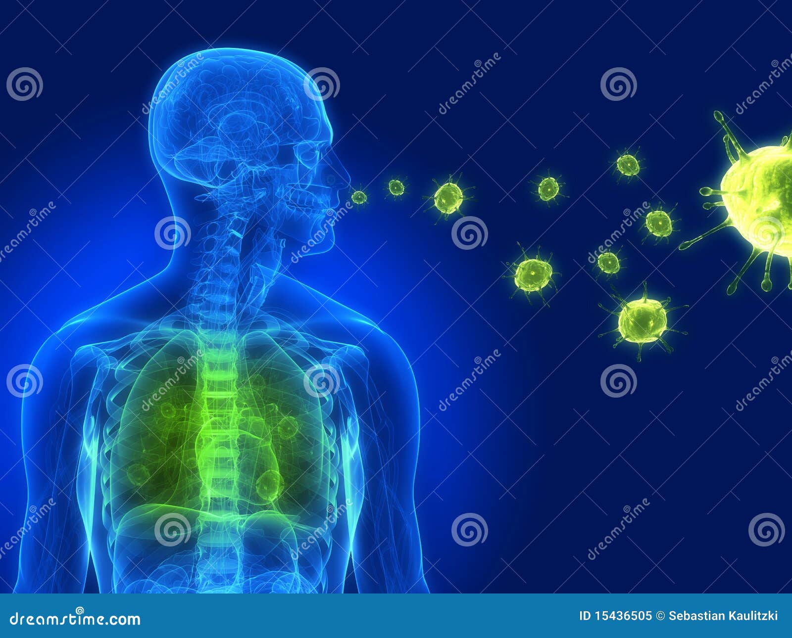 download melanocortins