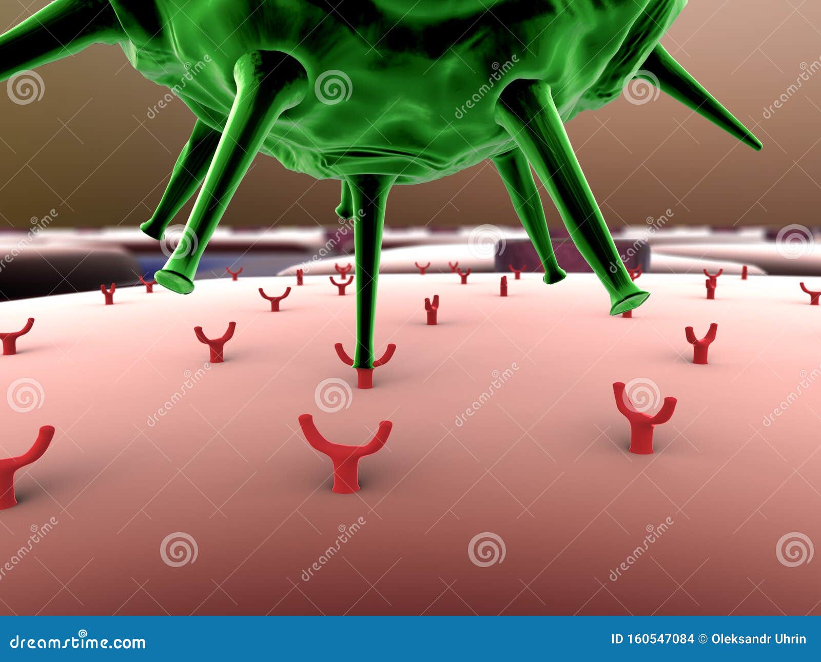 virus inside the cell