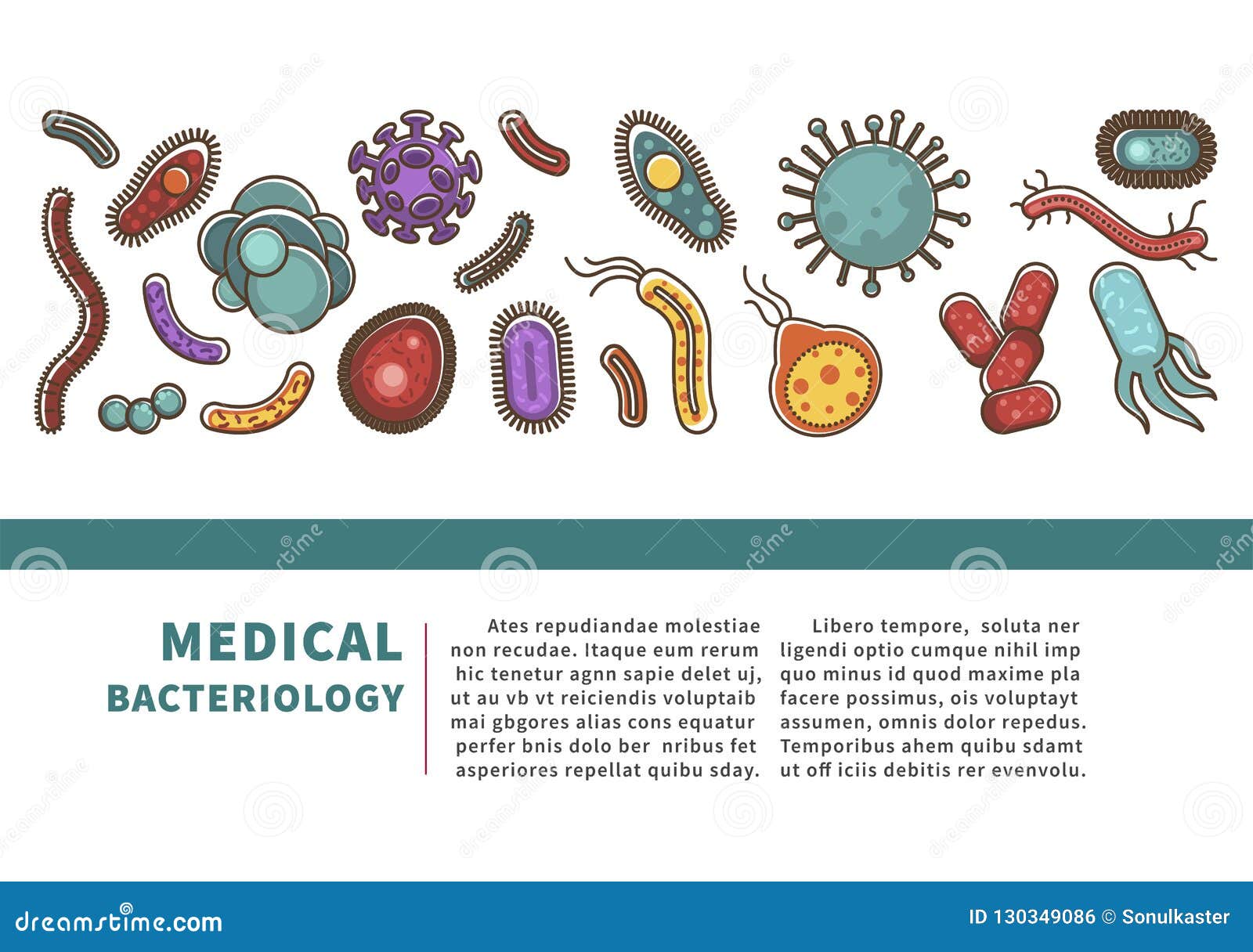 viruses and bacteria information poster for medical healthcare infographics or bacteriology science.