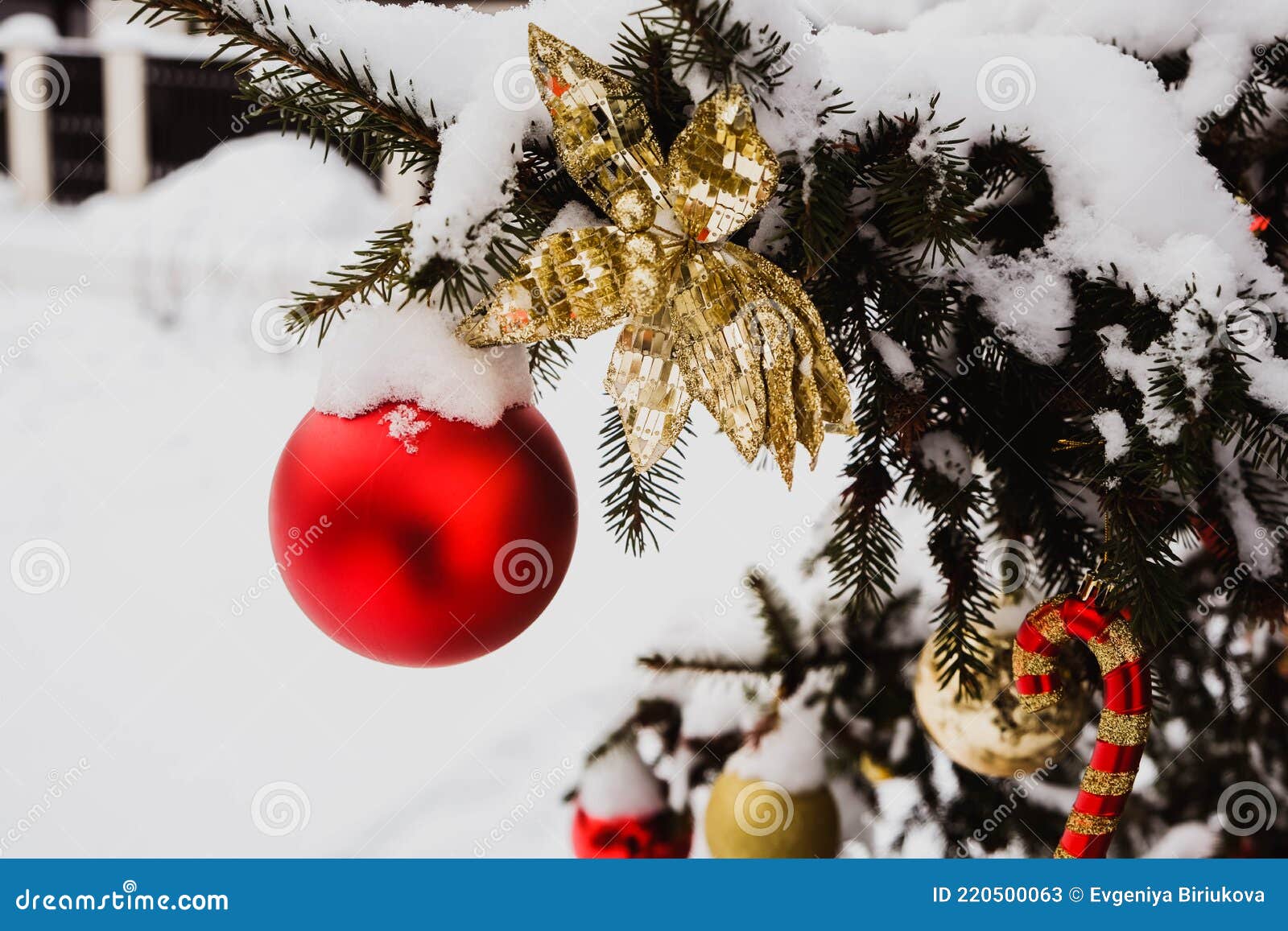 Visão De Conjunto Das Bolas Douradas E Vermelhas E Da Flor Dourada Como  Decoração Pendurada Nos Ramos De Uma árvore De Natal E Imagem de Stock -  Imagem de postcard, alegre: 220500063