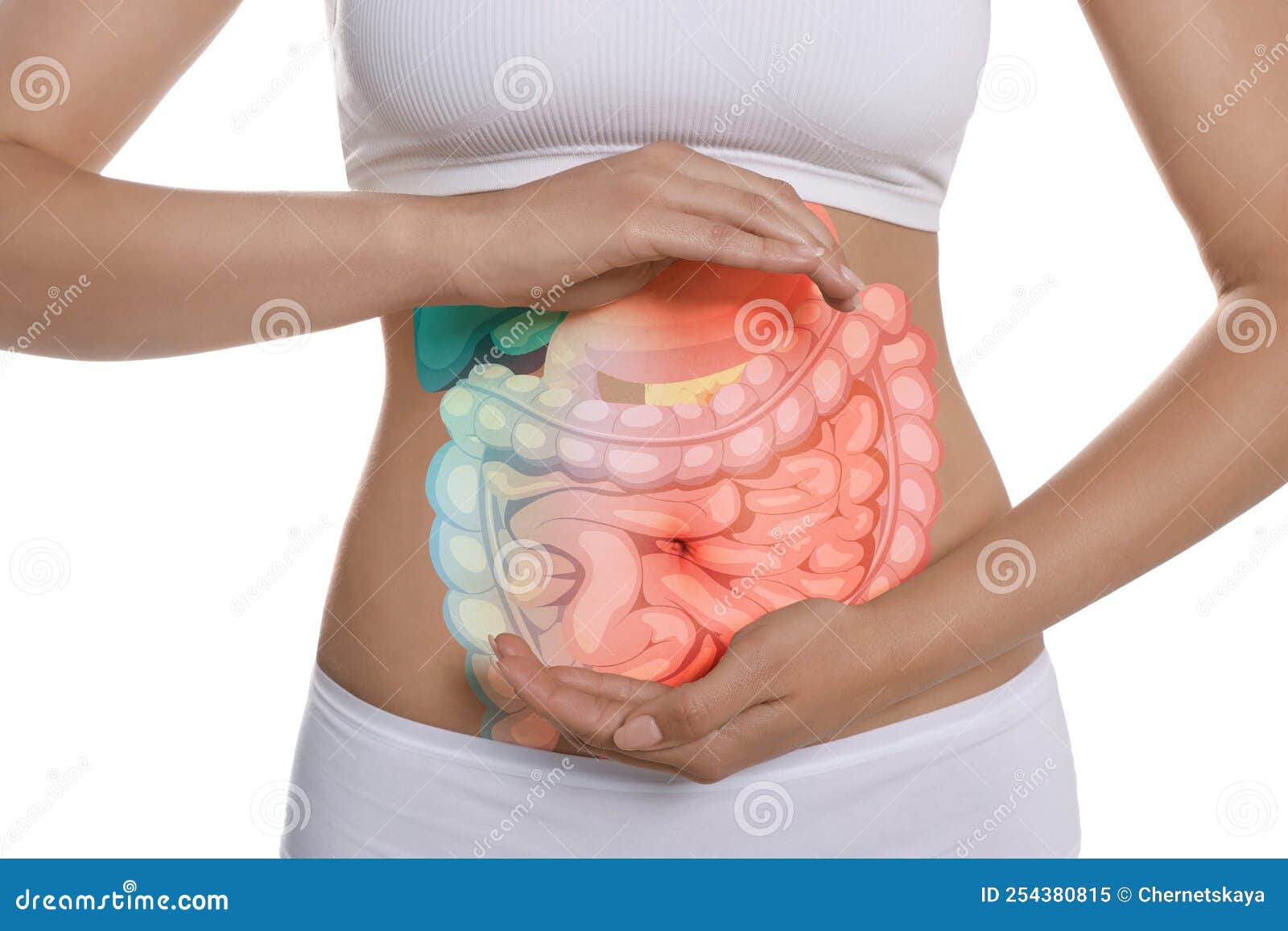 Visão De Detalhe Da Mulher Com Ilustração Dos órgãos Abdominais Na Barriga  Contra O Fundo Imagem de Stock - Imagem de abdominal, vista: 254380815