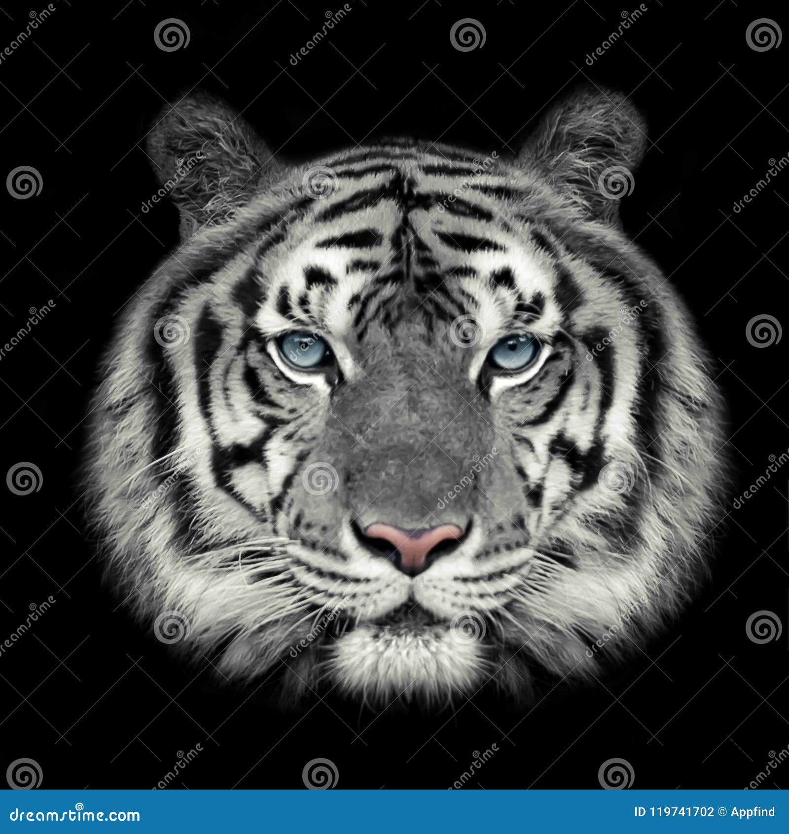 Visage Tigre Blanc PSD, 1 000+ modèles PSD gratuits de haute