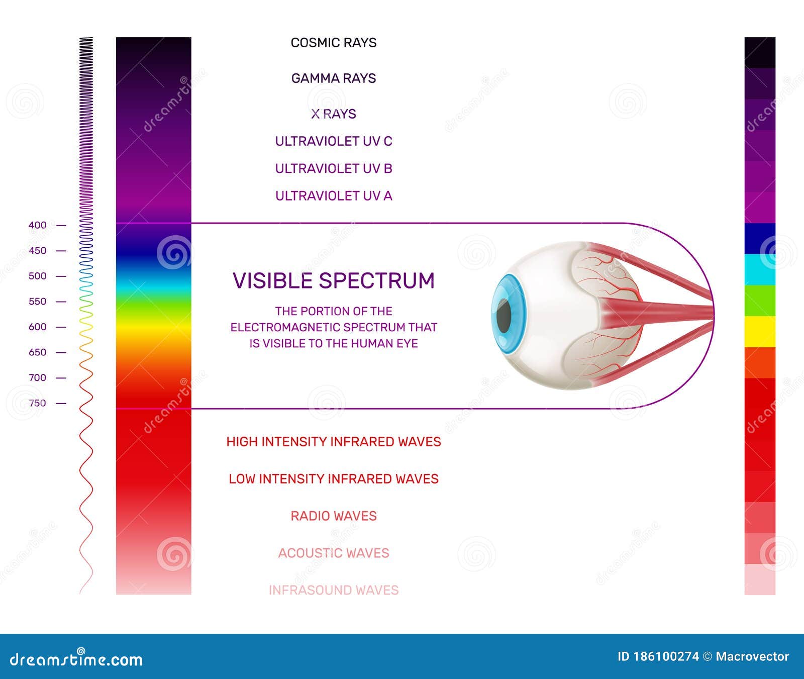 visible light spectrum infographics