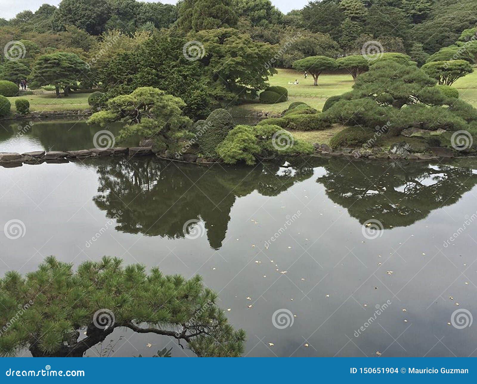 visitando tokyo japon