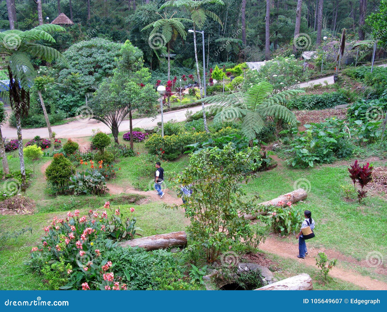 Visitors Touring through Several Routes in Baguio Botanical Garden 