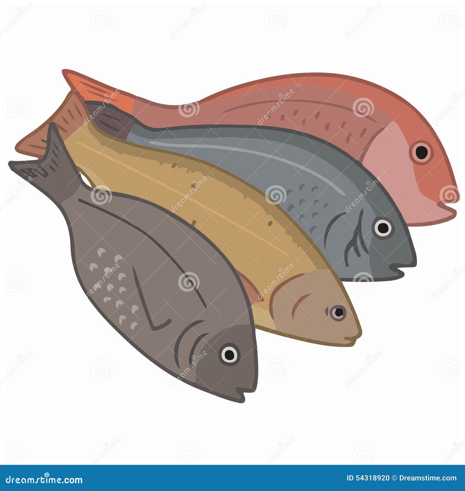 Vissen Om Te Eten - Forel, Zeebaars Stock Illustratie - selectie, forel: 54318920