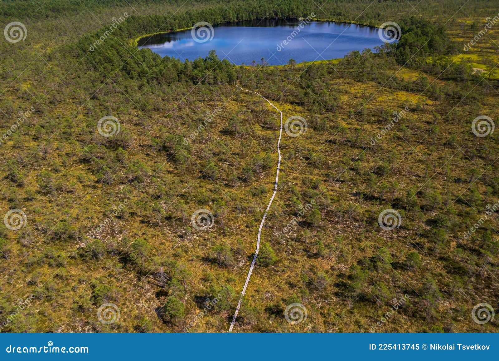 Vista De Um Pântano Ou De Uma Areia Movediça Do Pântano Imagem de Stock -  Imagem de nave, mola: 72951543