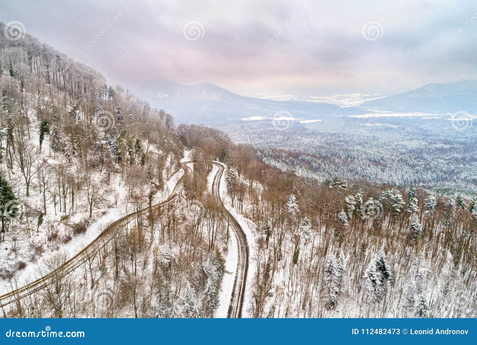 Vista aerea di una foresta nelle montagne dei Vosgi L'Alsazia, Francia. Vista aerea di una foresta nelle montagne dei Vosgi nell'inverno L'Alsazia, Francia